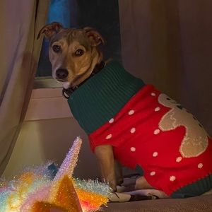 Meet your Posher, Mary